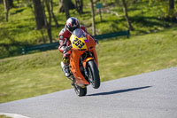 Middle Group Orange Bikes